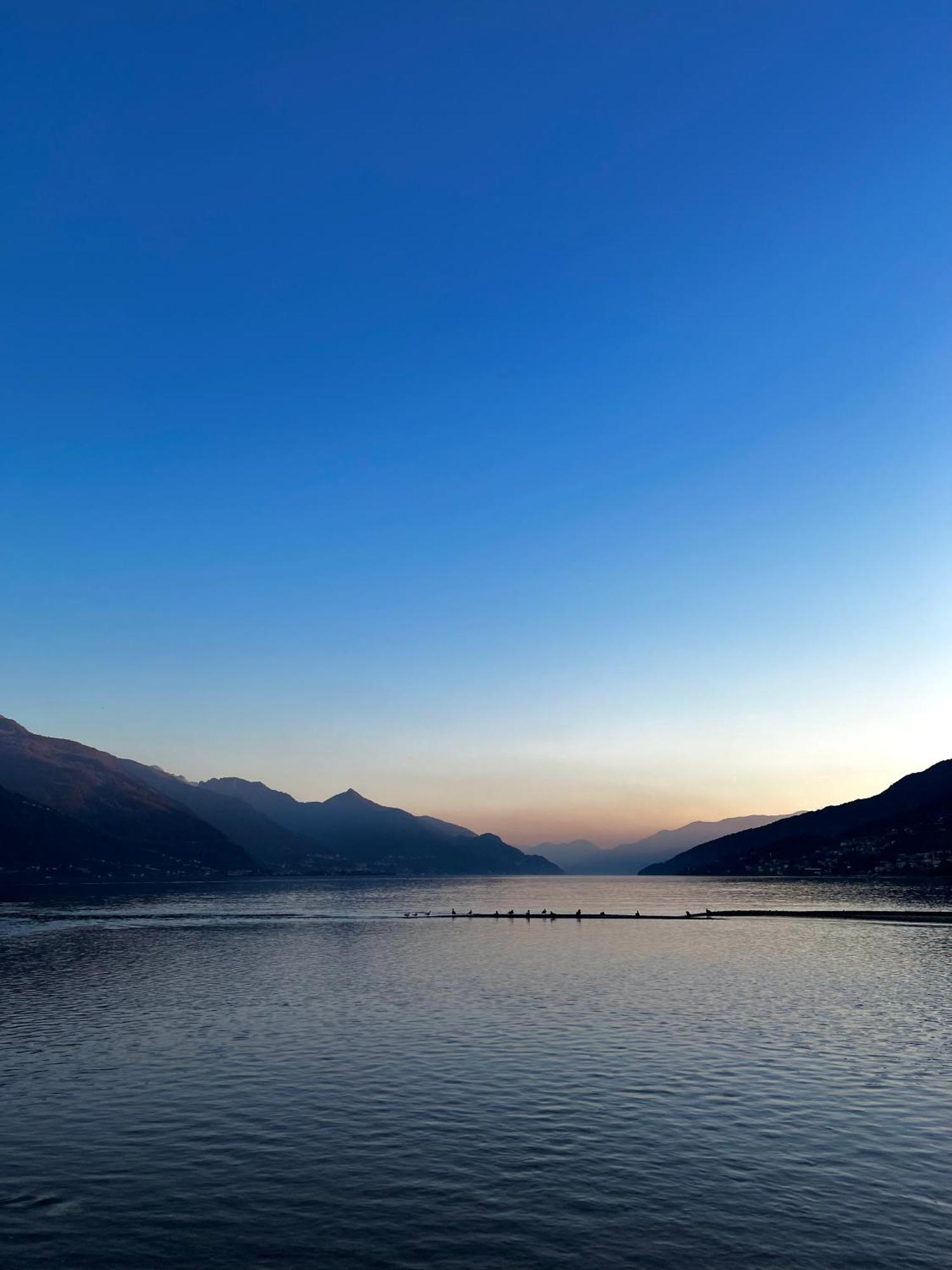 Nymphs Of Lake Como, House Of Harmony - Lake View Apartment Dongo Eksteriør billede